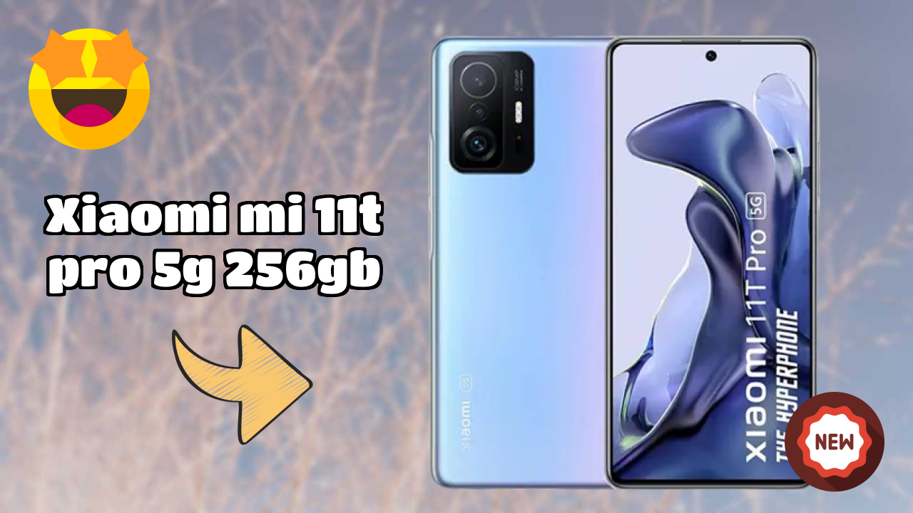 Xiaomi Mi 11T Pro 5G 256GB Camera Review: 108 MP + 8 MP + 5 MP Rear Camera Photo Samples